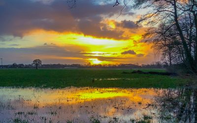 Bauernregel mit Fibi