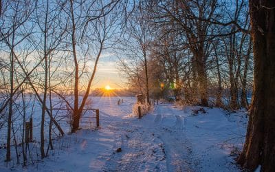 Bauernregel mit Fibi