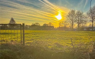 Mehr braucht es gerade nicht