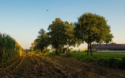 Bilder im Kopf – warum die Debatte oft an der Wirklichkeit vorbeigeht