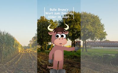 Bulle Bruno über Bilder im Kopf