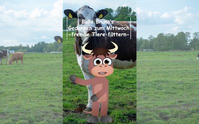 Bule Bruno über das Füttern von fremden Tieren