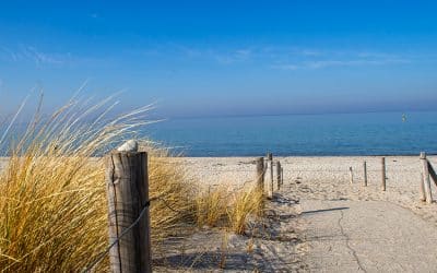 Mehr braucht es gerade nicht