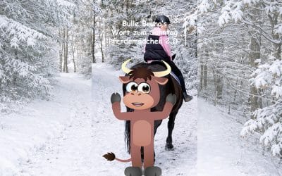 Bulle Bruno über Pferdemädchen 2.0