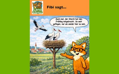 Die Störche sind zurück