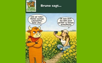 Bruno sagt…