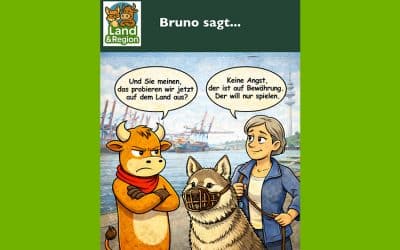 Bruno sagt…