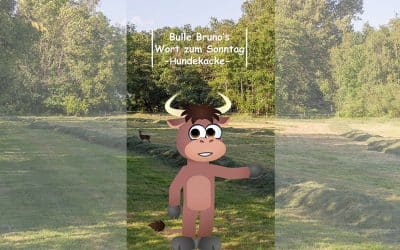 Bulle Bruno über die Hundekacke