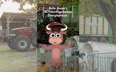 Bulle Bruno über die Energiepreise