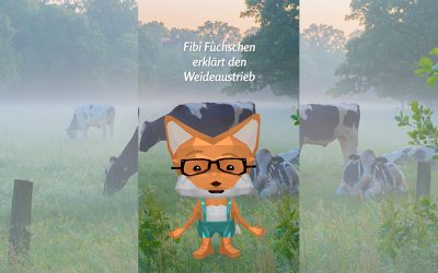 Fibi Füchschen erklärt den Weideaustrieb
