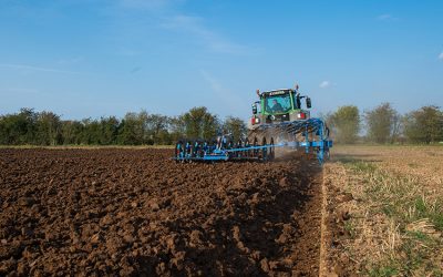 Bauernregel mit Fibi