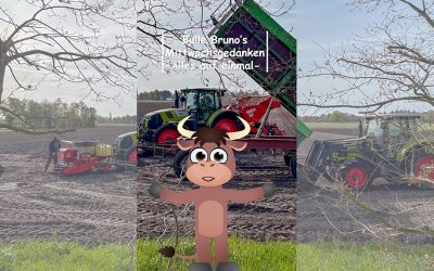 Bulle Bruno über alles auf einmal