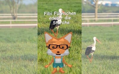Fibi Füchschen erklärt die Störche