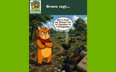 Bruno sagt…