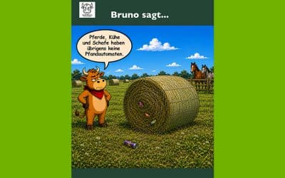 Dosen im Gras – Warum das mehr ist als nur ein bisschen Müll