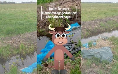 Bulle Bruno über den Müll