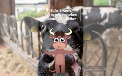 Bulle Bruno über die besamungstechniker