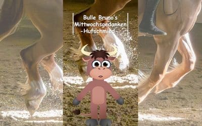 Bulle Bruno über die Hufschmiede