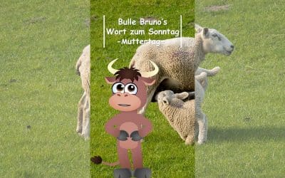Bulle Bruno über den Muttertag