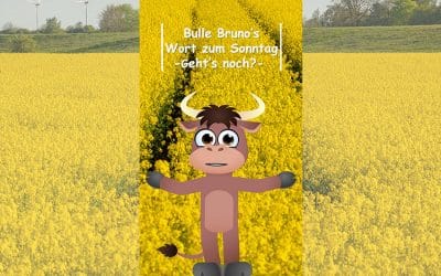 Bulle Bruno fragt: Geht’s noch?