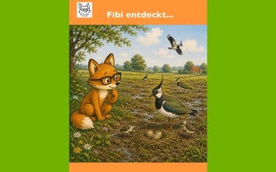 Fibi entdeckt den Kiebitz