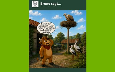 Geier, Störche und die Frage nach Gut und Böse