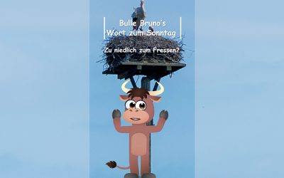 Bulle Bruno über Geier und Störche