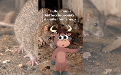 Bulle Bruno über die Ratten
