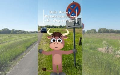 Bulle Bruno über im Weg stehen