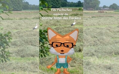 Fibi entdeckt Störche hinter dem Trecker