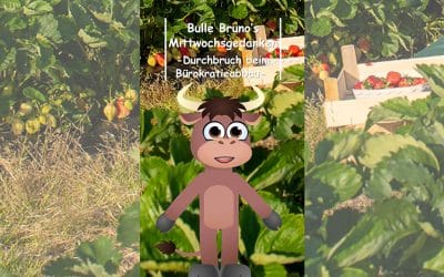 Bulle Bruno über die Marmelade