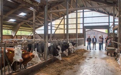 Sommertour mit Staatsrat: Landwirtschaft vor Ort erleben und Probleme ansprechen