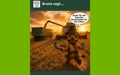 Die Ernte hat mehr Heldinnen, als wir glauben