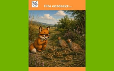 Manche Vögel leben nicht hoch oben in den Bäumen