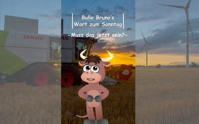 Bulle Bruno über die Nachtschicht