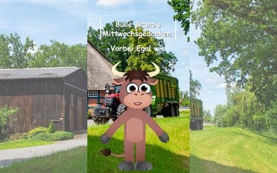 Bulle Bruno über das Überholen