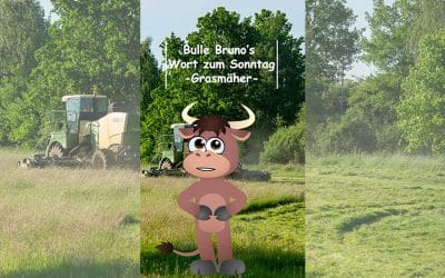 Bulle Bruno über das Mähen