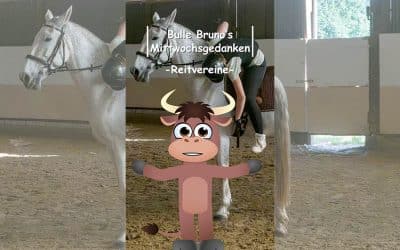 Bulle Bruno über die Reitvereine