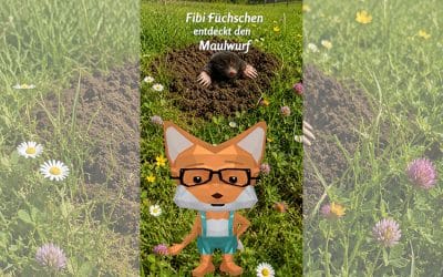 Fibi Füchschen entdeckt den Maulwurf