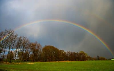 Wetterbilanz zur Jahresmitte: Bisher ein erfreulich normales Jahr