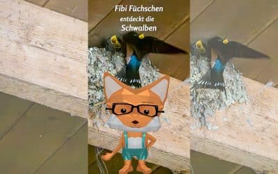 Fibi Füchschen über die Schwalben