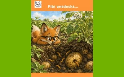 Warum hat diese Kartoffel plötzlich ein Loch?
