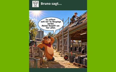 Mein Kommentar: Landwirtschaft und Handwerk – das eine geht nicht ohne das andere