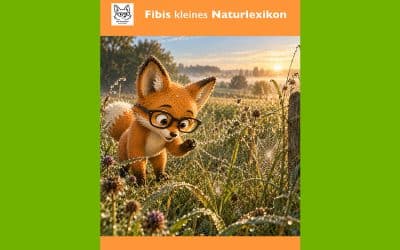 Fibis kleines Naturlexikon: Spinnenfäden im Altweibersommer