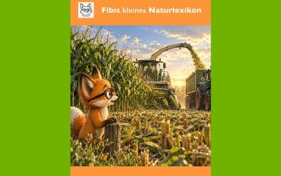 Fibis kleines Naturlexikon: Warum wird Mais gehäckselt