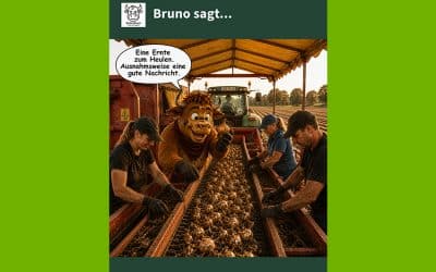 Eine Ernte zum Heulen und das ist gut so