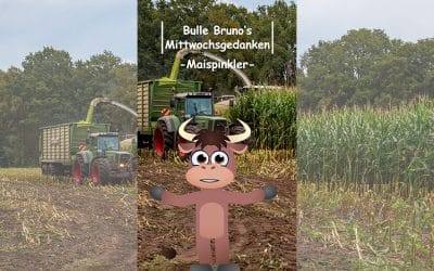 Bulle Bruno über die Maispinkler