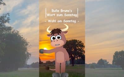 Bulle Bruno über die Wahlen