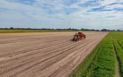 Einfach Landwirtschaft