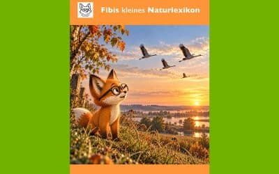 Fibis kleines Naturlexikon – Woher wissen Vögel, wann es Zeit ist loszufliegen?